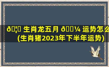 🦊 生肖龙五月 🐼 运势怎么样(生肖猪2023年下半年运势)